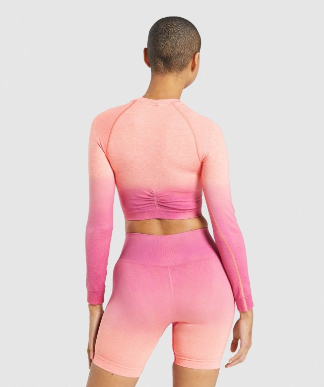 Sudaderas Gymshark Adapt Ombre Seamless Crop Top Naranjas Rosas | CGpORhmUCDT