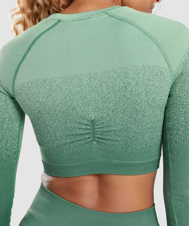 Sudaderas Gymshark Adapt Ombre Seamless Crop Top Verde Verde Claro | bgLI6X1A4vP