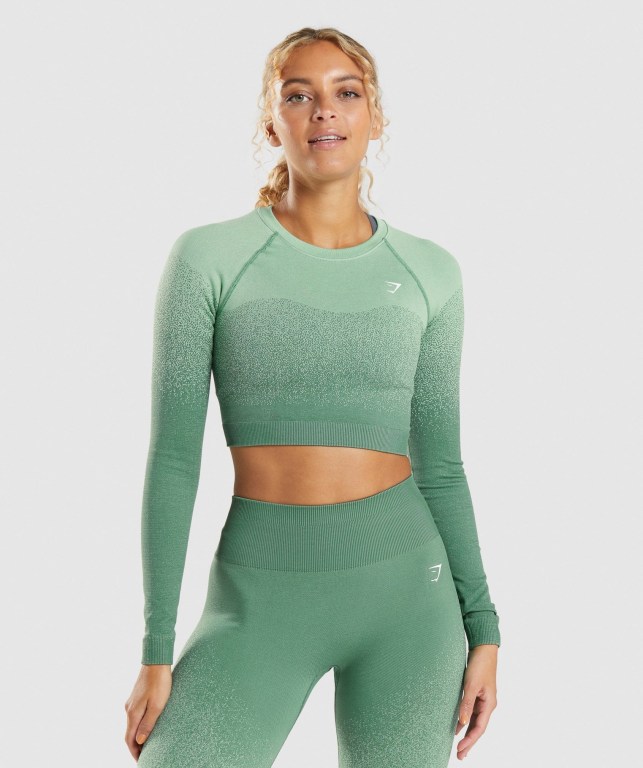 Sudaderas Gymshark Adapt Ombre Seamless Crop Top Verde Verde Claro | bgLI6X1A4vP