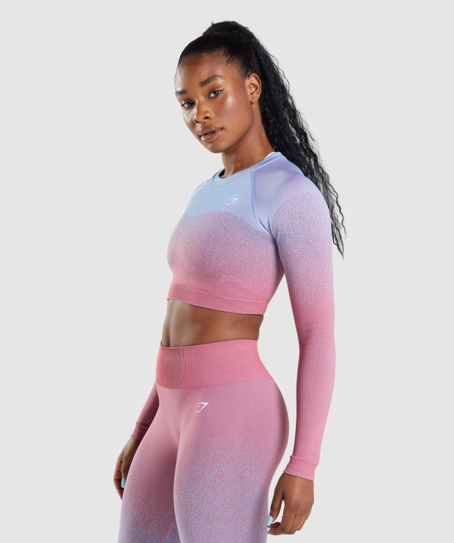 Sudaderas Gymshark Adapt Ombre Seamless Crop Top Rosas Rosas Azules Claro | iYydW9IYwLw