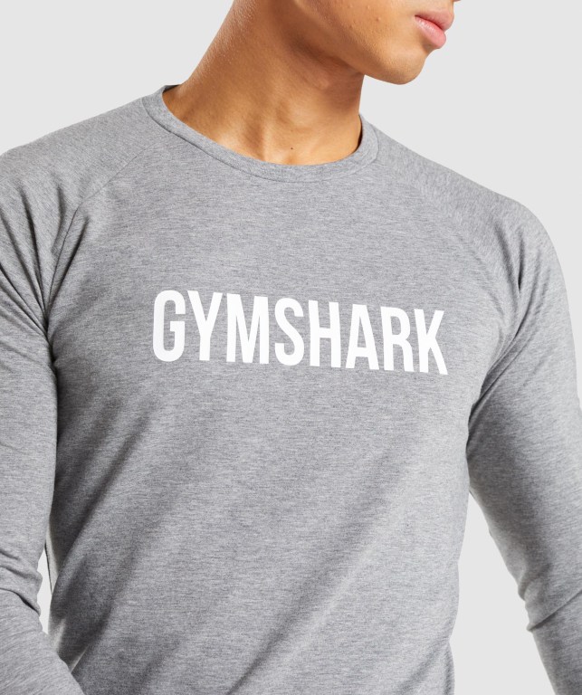 Sudaderas Gymshark Apollo Gris | 2RPSU4Qhjuo