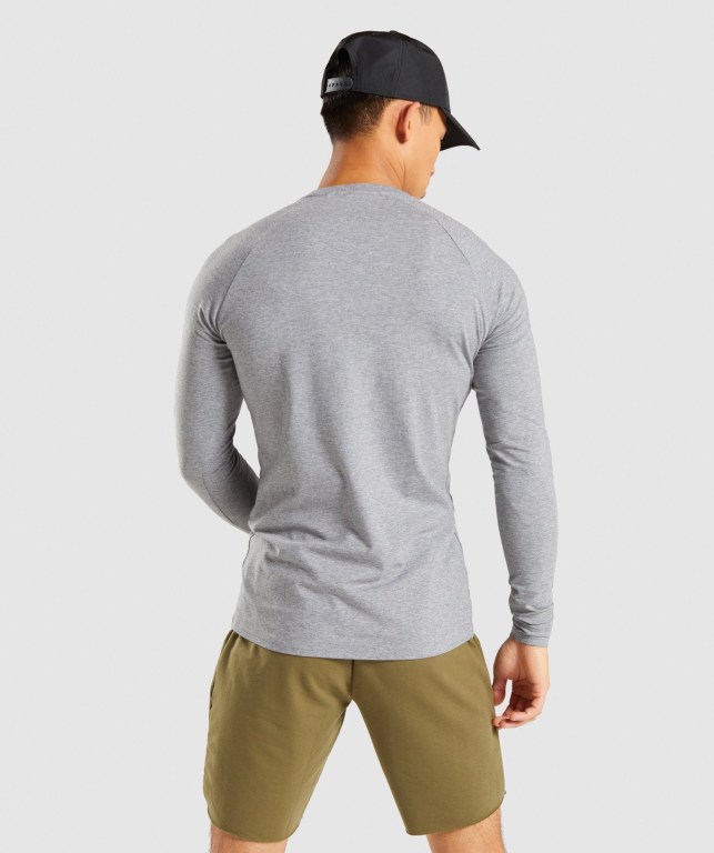 Sudaderas Gymshark Apollo Gris | 2RPSU4Qhjuo