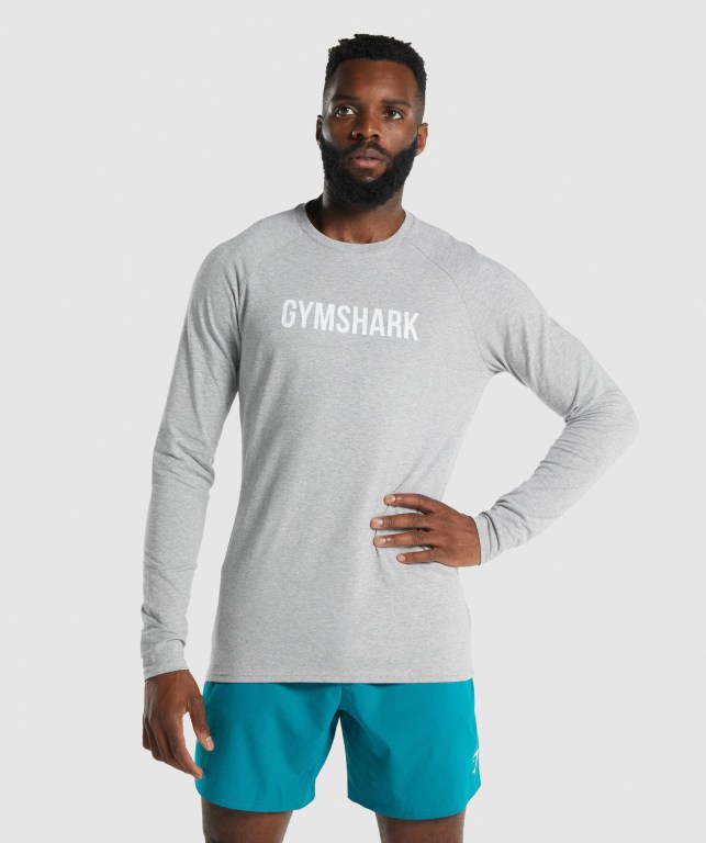 Sudaderas Gymshark Apollo Gris Claro | ErAYmYv5iJE