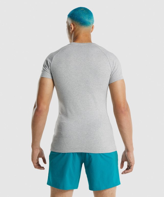 Sudaderas Gymshark Apollo Gris Claro | GwgQ99Ae985