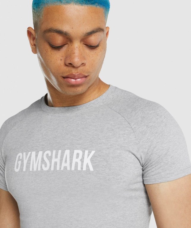 Sudaderas Gymshark Apollo Gris Claro | GwgQ99Ae985