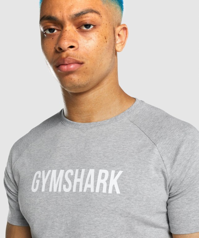 Sudaderas Gymshark Apollo Gris Claro | Klo6CfAbpSU