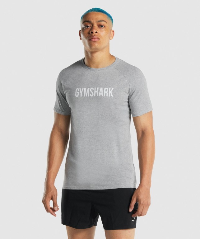 Sudaderas Gymshark Apollo Gris Claro | Klo6CfAbpSU