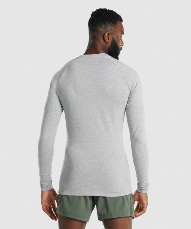 Sudaderas Gymshark Apollo Gris Claro | XxJS3UF2lPE