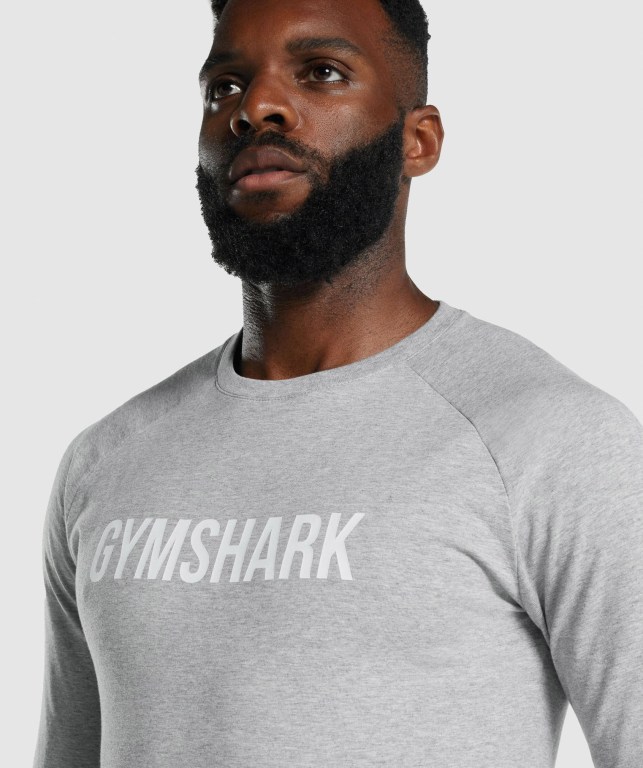 Sudaderas Gymshark Apollo Gris Claro | XxJS3UF2lPE