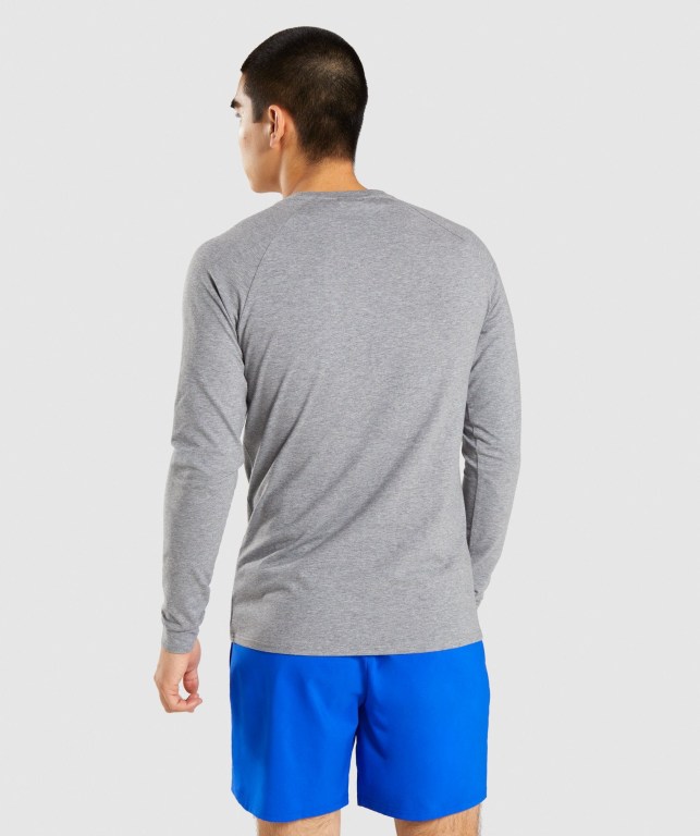 Sudaderas Gymshark Apollo Gris | ISaNgClPp1z