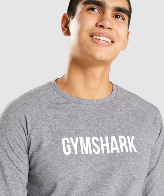 Sudaderas Gymshark Apollo Gris | ISaNgClPp1z