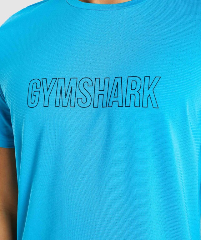 Sudaderas Gymshark Arrival Graphic Azules Claro | fSvmlTZrrU1