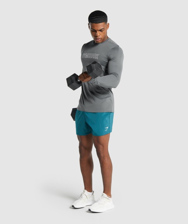 Sudaderas Gymshark Arrival Graphic Gris | gTEvTfHsJyC