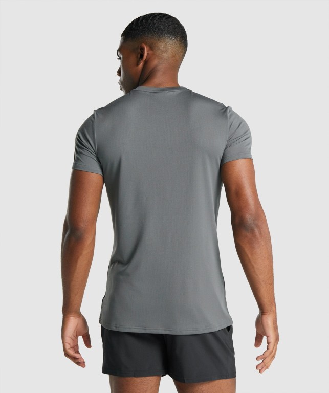 Sudaderas Gymshark Arrival Graphic Gris | nKXffIhIxwa