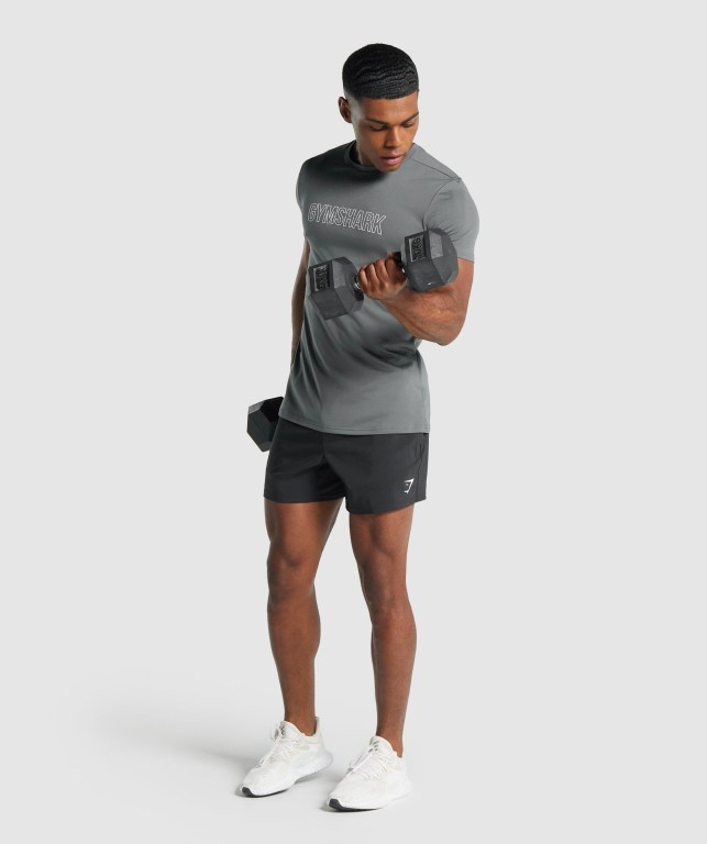 Sudaderas Gymshark Arrival Graphic Gris | nKXffIhIxwa