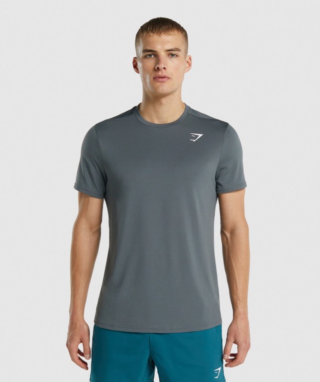 Sudaderas Gymshark Arrival Regular Fit Gris | 3WJyqNKQ1sN