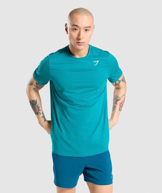 Sudaderas Gymshark Arrival Regular Fit Turquesa | MOOAPBOKhXG