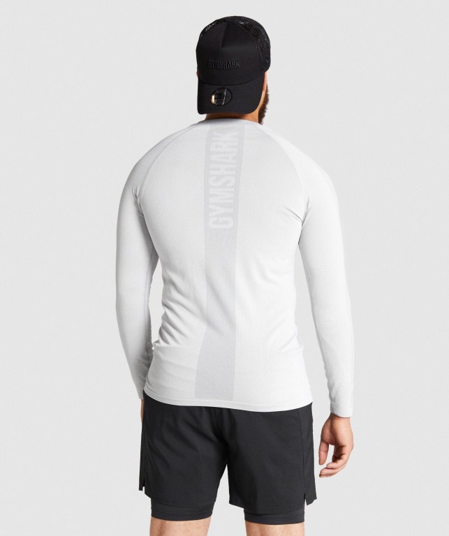 Sudaderas Gymshark Aspect Ligeros Seamless Gris Claro | 6evT7JUAXKR