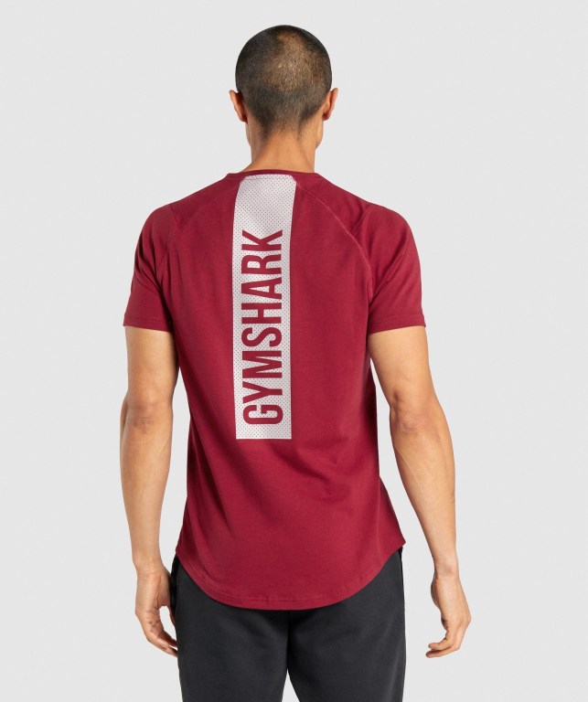 Sudaderas Gymshark Bold Burdeos | jItC3bXlpBo