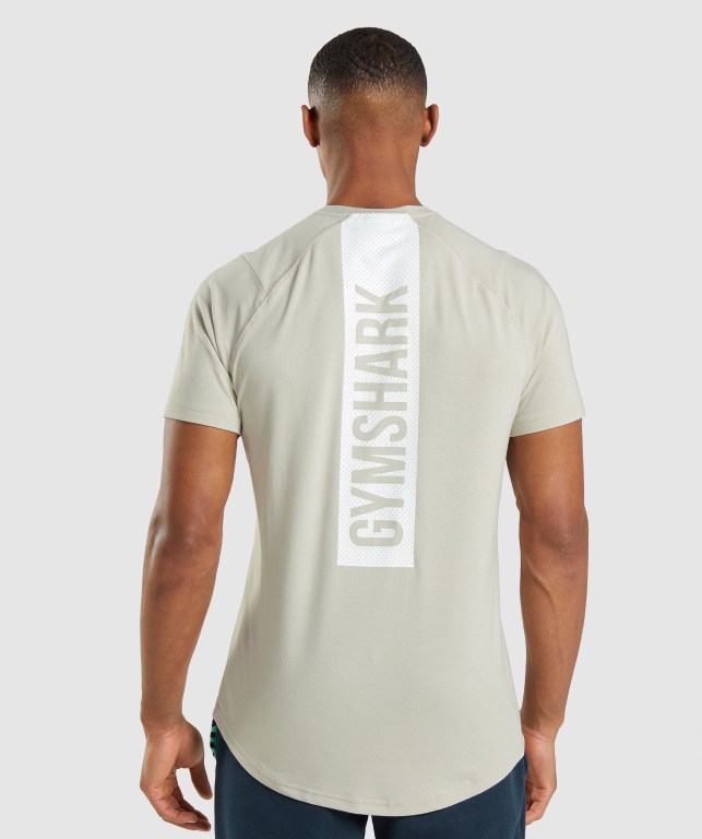 Sudaderas Gymshark Bold Gris | LSdwSgWxQT5