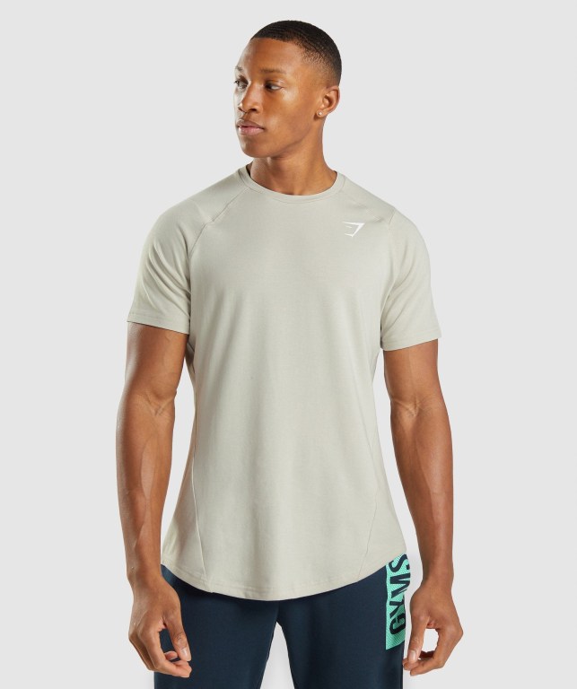 Sudaderas Gymshark Bold Gris | LSdwSgWxQT5