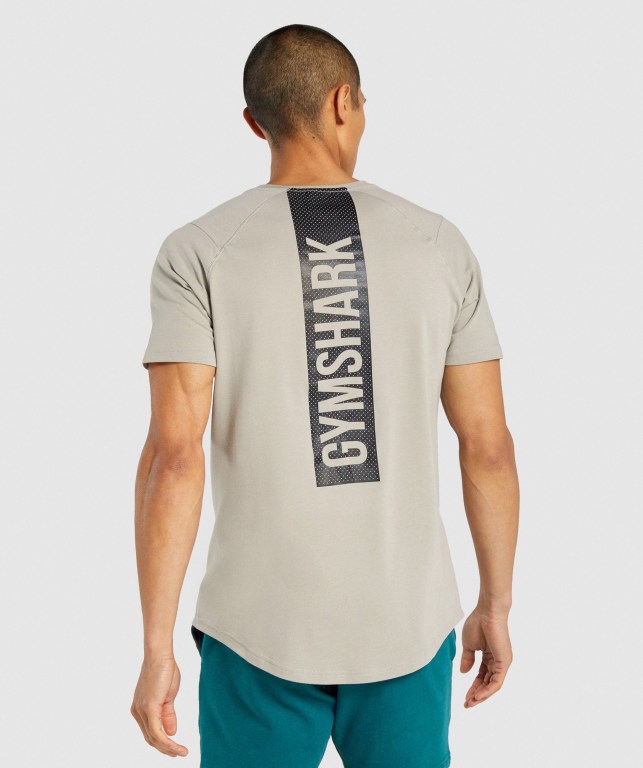 Sudaderas Gymshark Bold Gris | emDjxYdkHNW