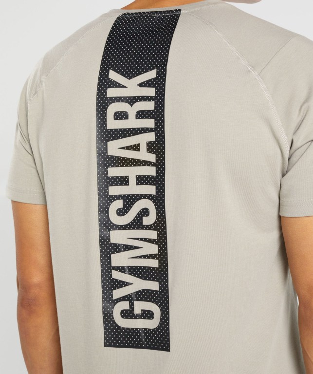 Sudaderas Gymshark Bold Gris | emDjxYdkHNW