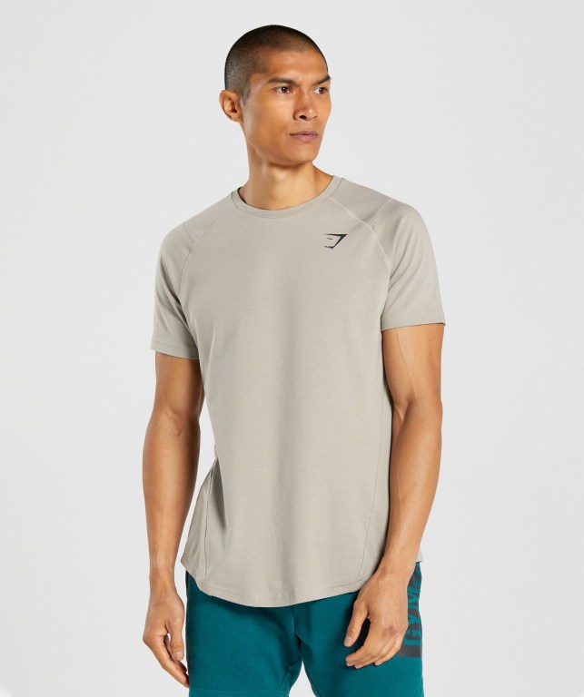 Sudaderas Gymshark Bold Gris | emDjxYdkHNW