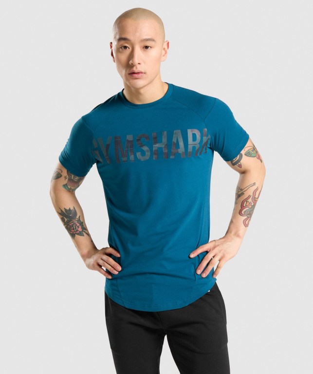 Sudaderas Gymshark Bold Turquesa Camuflaje | o4mnNUUACDz