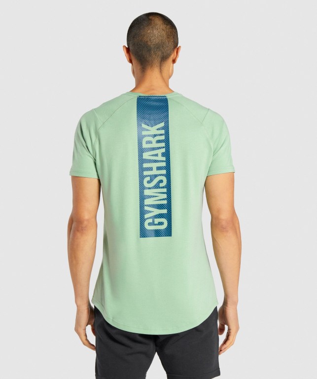 Sudaderas Gymshark Bold Verde | hcXXQUBdLsr