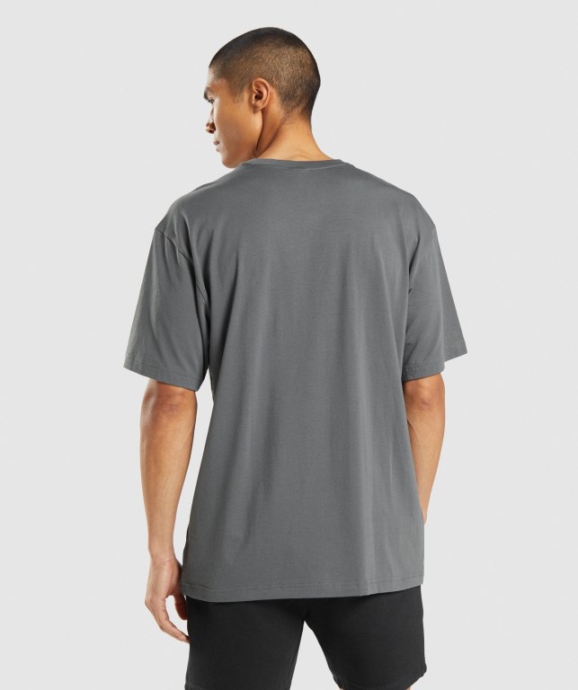 Sudaderas Gymshark Central Oversized Gris | NOTPjSRxiHt