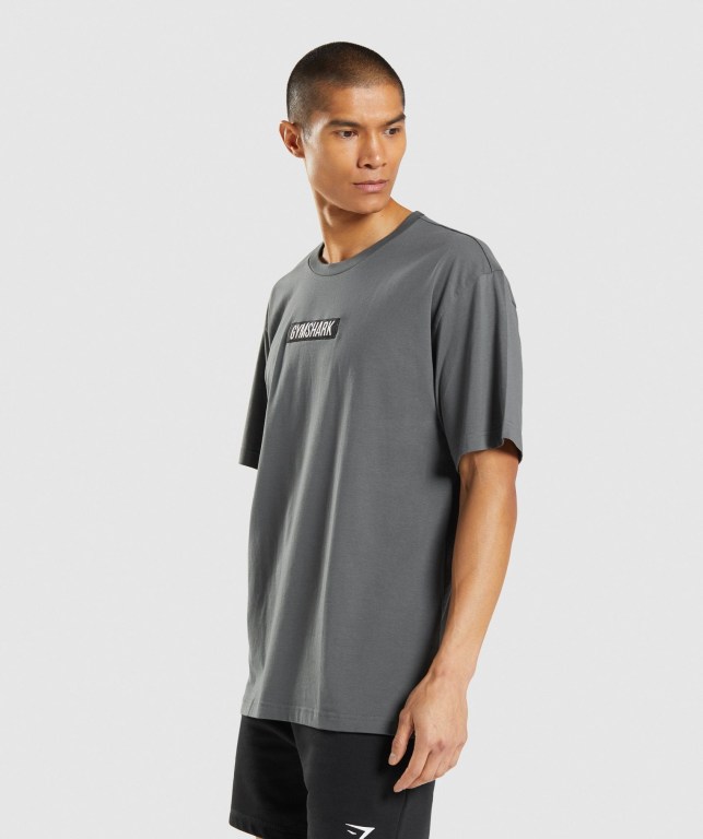 Sudaderas Gymshark Central Oversized Gris | NOTPjSRxiHt