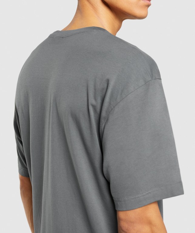 Sudaderas Gymshark Central Oversized Gris | NOTPjSRxiHt