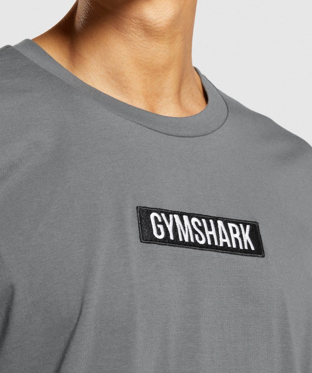 Sudaderas Gymshark Central Oversized Gris | NOTPjSRxiHt