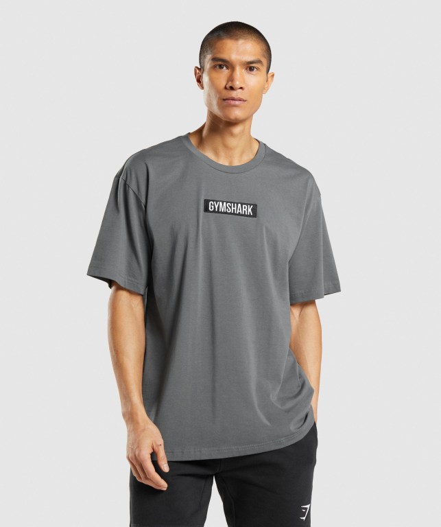 Sudaderas Gymshark Central Oversized Gris | NOTPjSRxiHt