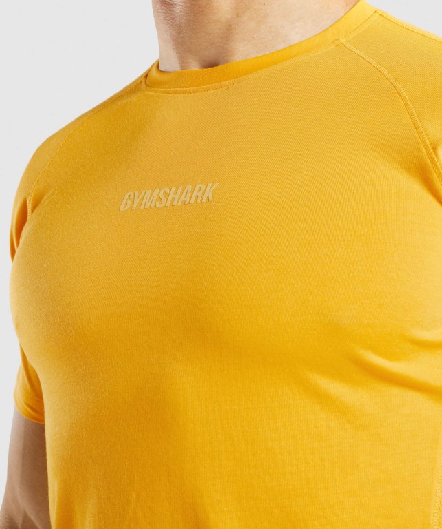 Sudaderas Gymshark Chalk Amarillo | zWtiiYGnTGl