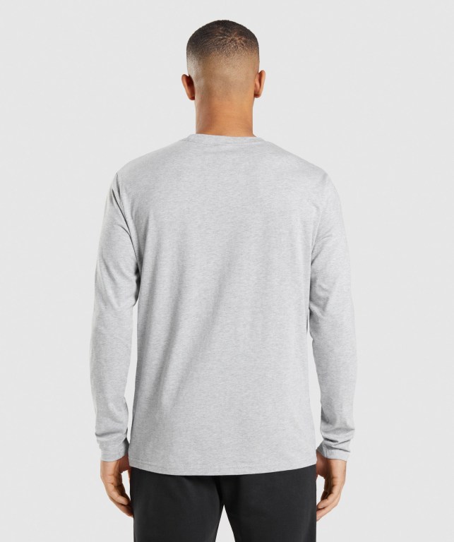 Sudaderas Gymshark Crest Gris Claro | AzHqjymSnLi