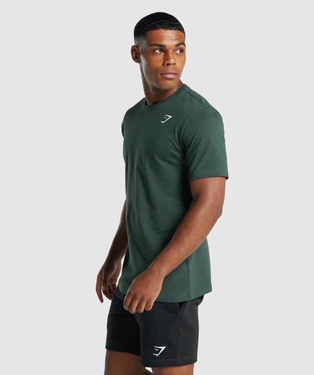 Sudaderas Gymshark Crest Verde Oscuro | M3BrOw2XRZA