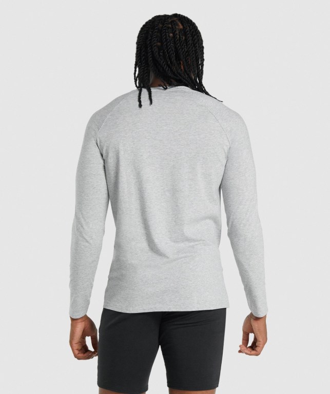 Sudaderas Gymshark Critical 2.0 Gris Claro | 7rw2gx6sjow