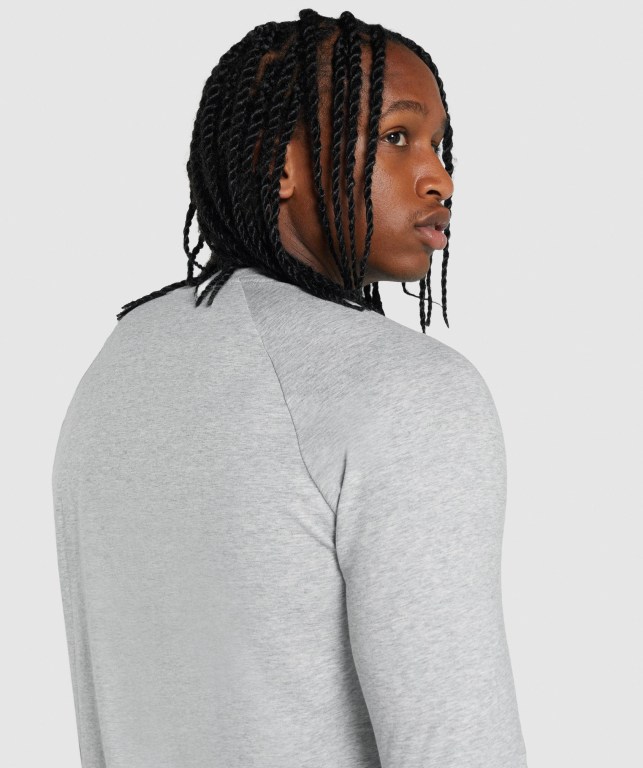 Sudaderas Gymshark Critical 2.0 Gris Claro | 7rw2gx6sjow