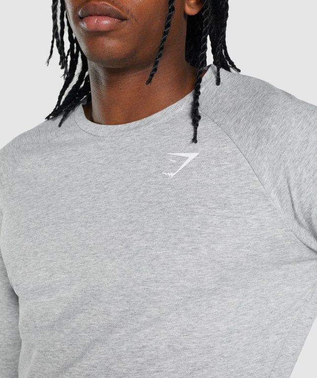 Sudaderas Gymshark Critical 2.0 Gris Claro | 7rw2gx6sjow