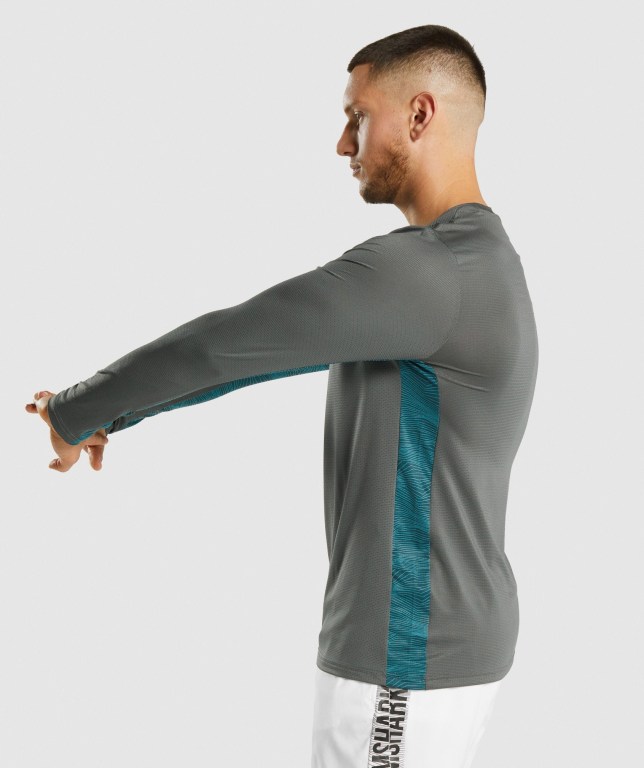 Sudaderas Gymshark Deporte Gris | LUtX3fglF92