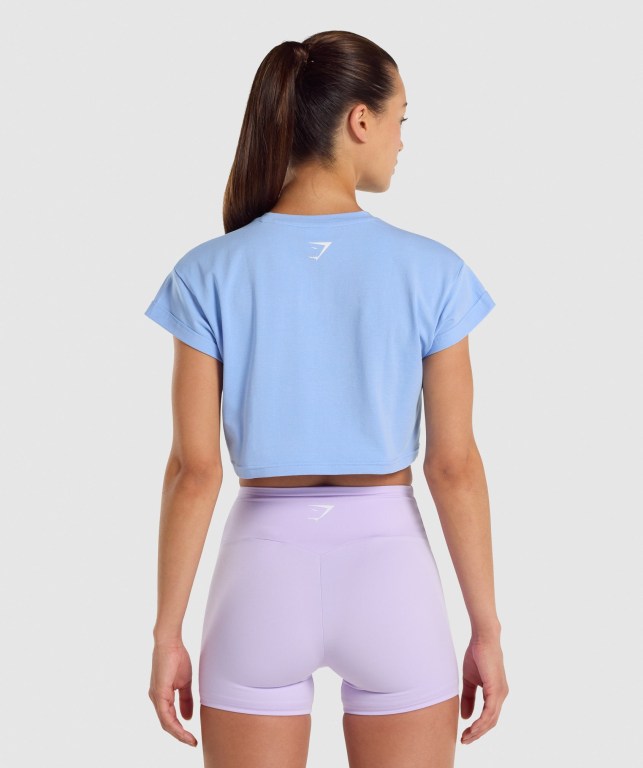 Sudaderas Gymshark Fraction Crop Top Azules Claro | Dc2U9IpL7Ku