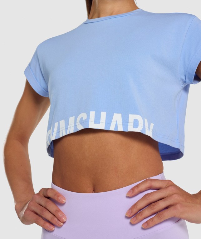 Sudaderas Gymshark Fraction Crop Top Azules Claro | Dc2U9IpL7Ku