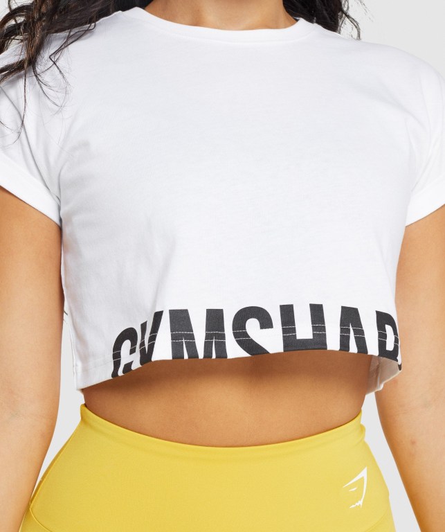 Sudaderas Gymshark Fraction Crop Top Blancas | 9IjkaCLSicm