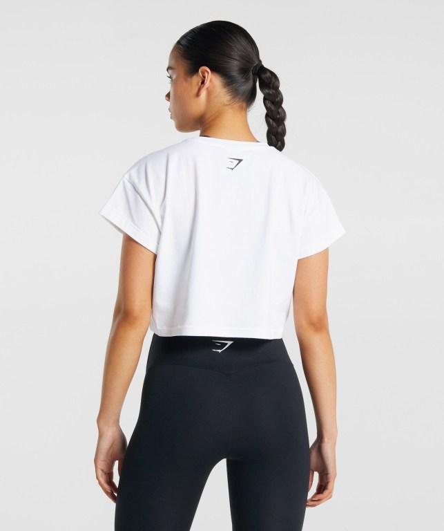 Sudaderas Gymshark Fraction Crop Top Blancas | AaqBHa9HJuT