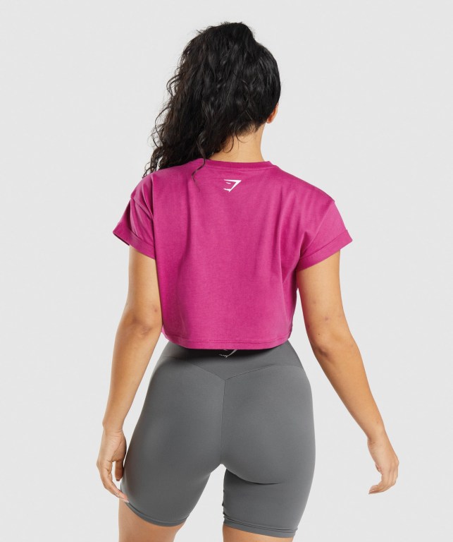 Sudaderas Gymshark Fraction Crop Top Rosas | 9jn7LbhEiMY