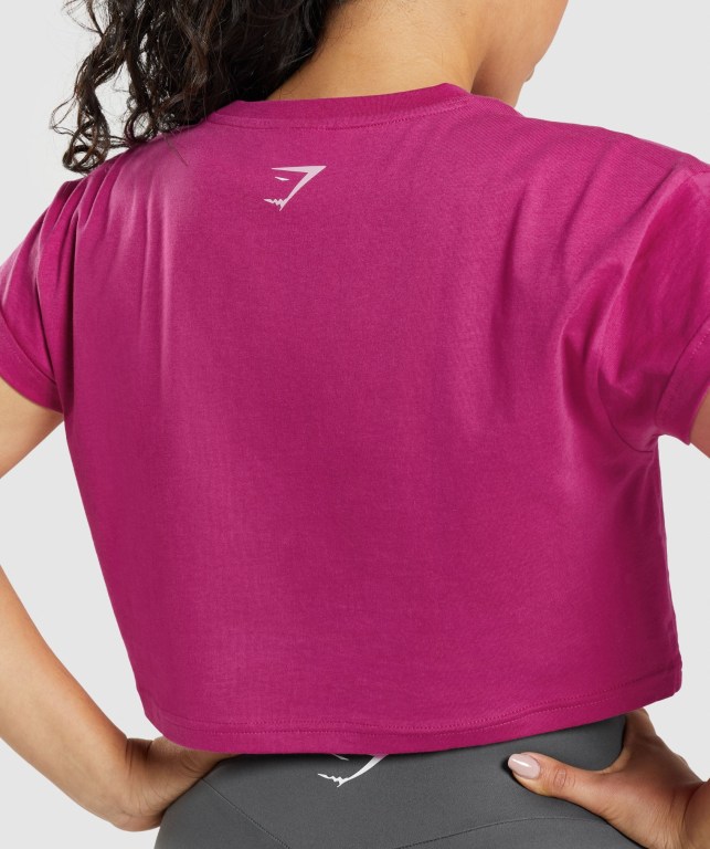 Sudaderas Gymshark Fraction Crop Top Rosas | 9jn7LbhEiMY