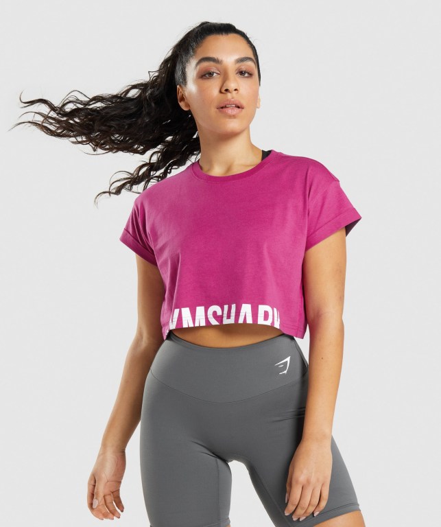 Sudaderas Gymshark Fraction Crop Top Rosas | Cppf3tEfqEG