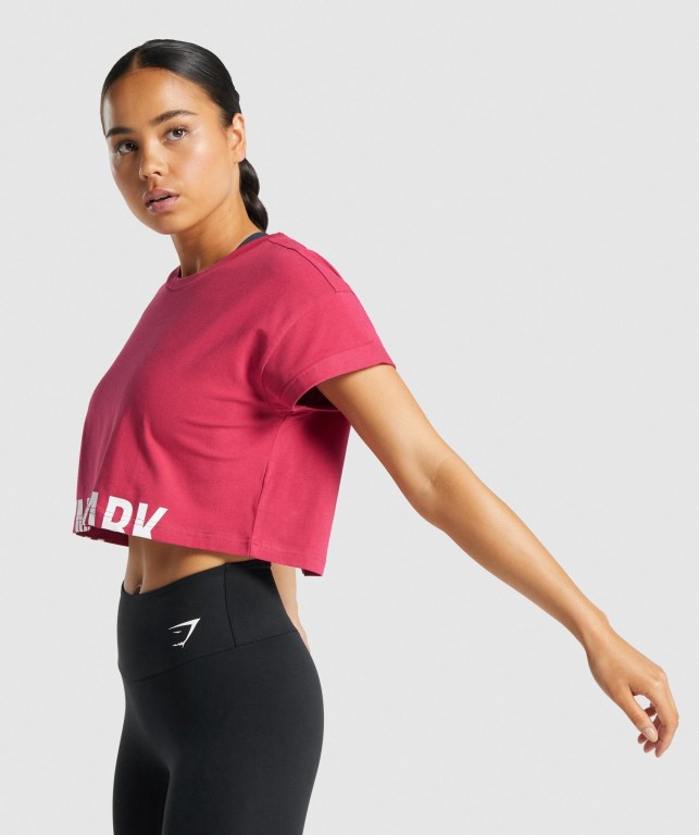 Sudaderas Gymshark Fraction Crop Top Rosas | E4LGKEkX2Jt